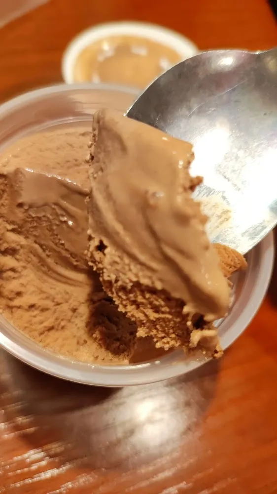 Chocolate Ice Cream